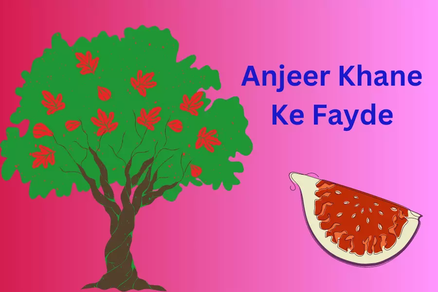 Anjeer Khane Ke Fayde