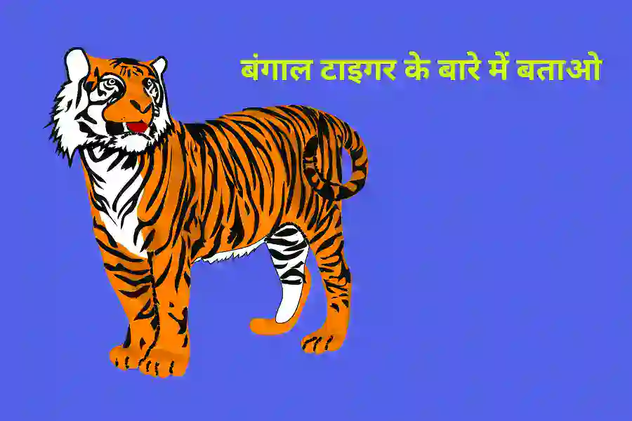 बंगाल टाइगर के बारे में बताओ