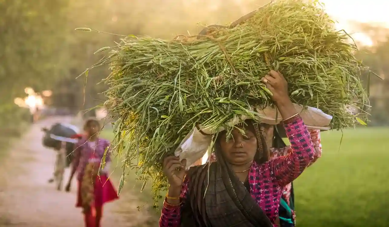 मुख्यमंत्री माझी लाडकी बहिन