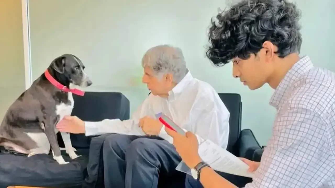 Ratan Tata Dog Viral Video